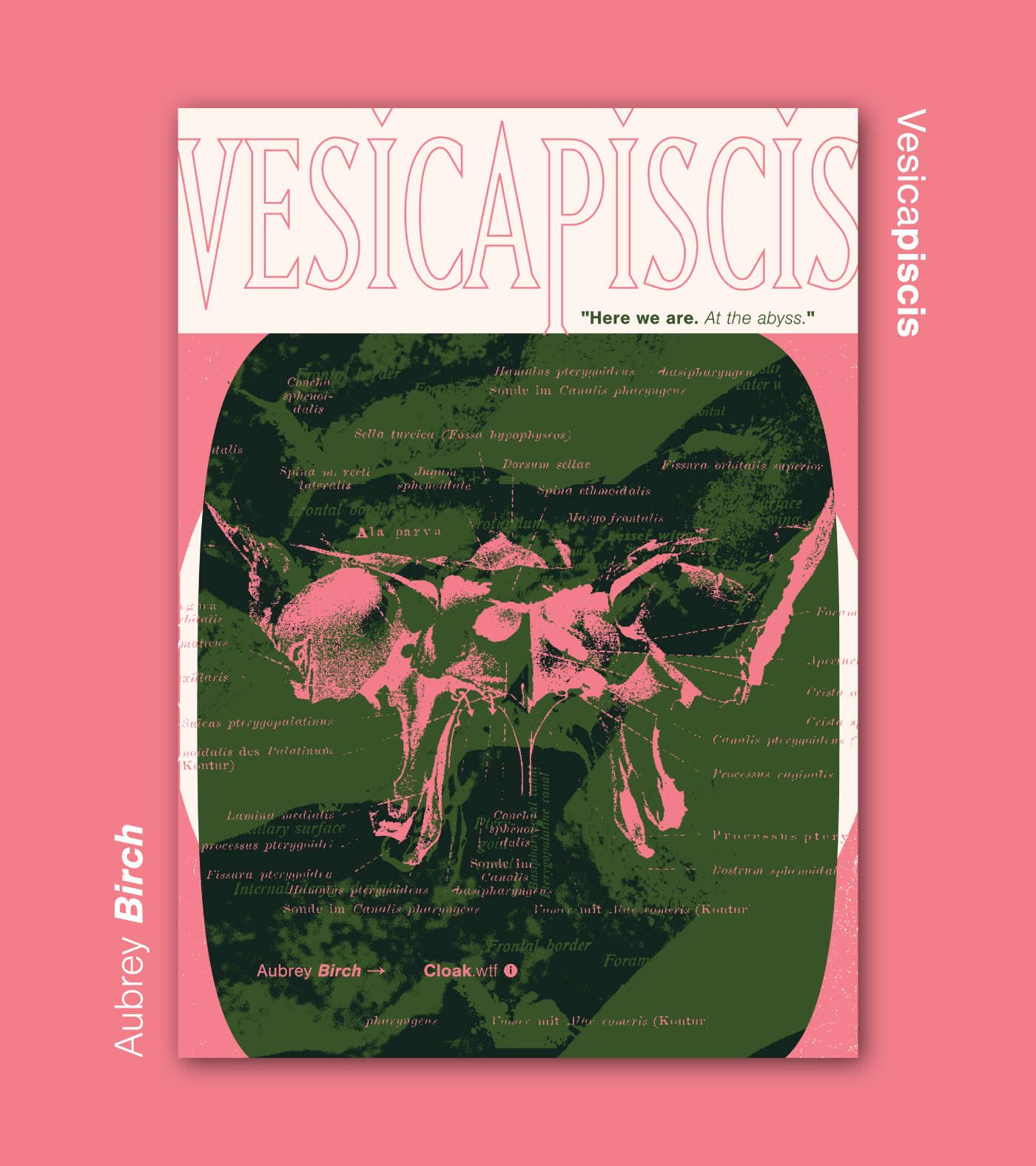 1239_CLOAK release posts.png